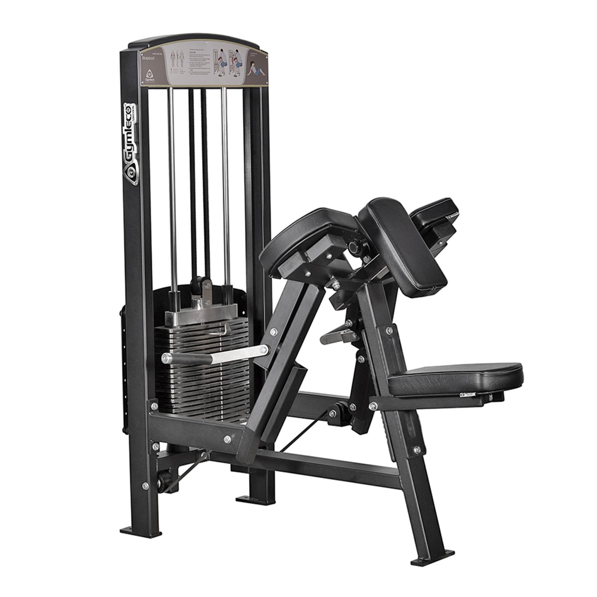 Бицепс сидя Gymleco 350
