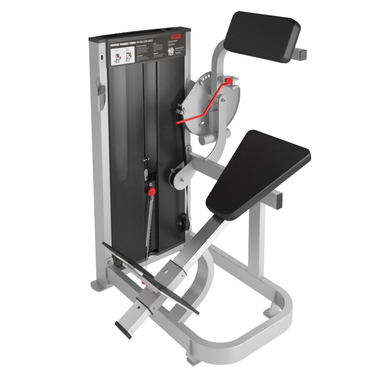 Нижние мышцы спины FOREMAN FN-305 светло-серебряный/бежевый