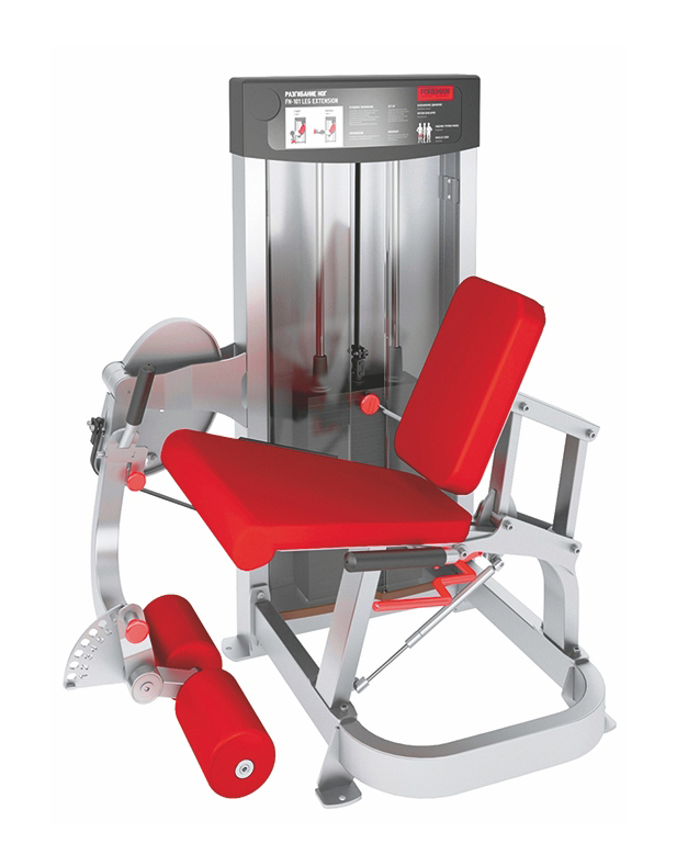 Разгибание ног FOREMAN FN-101